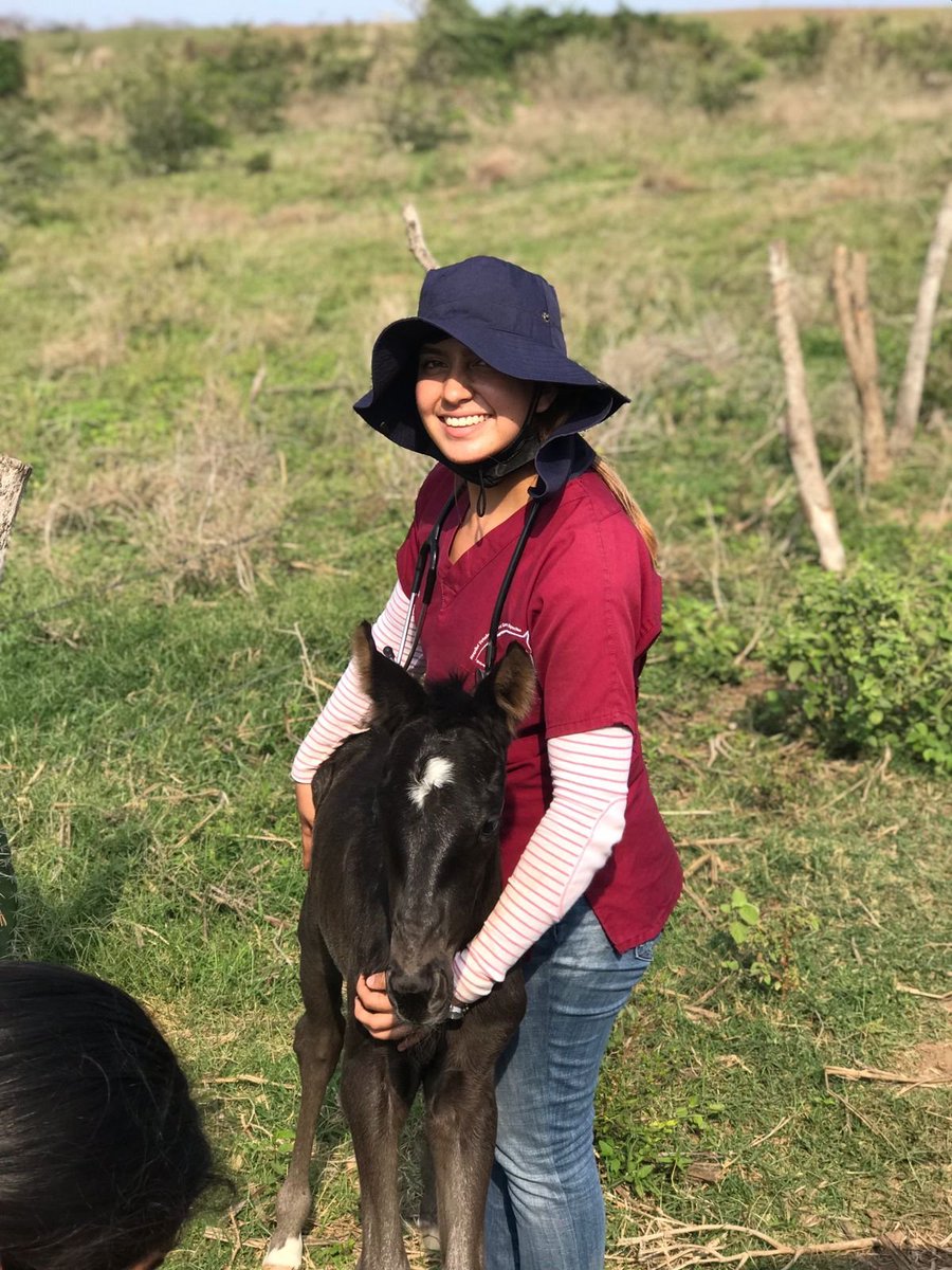 TaydeVania's tweet photo. Amo mi labor ♥️😍
Amo los Equinos ✨🐴 https://t.co/zCpUpdrYqG