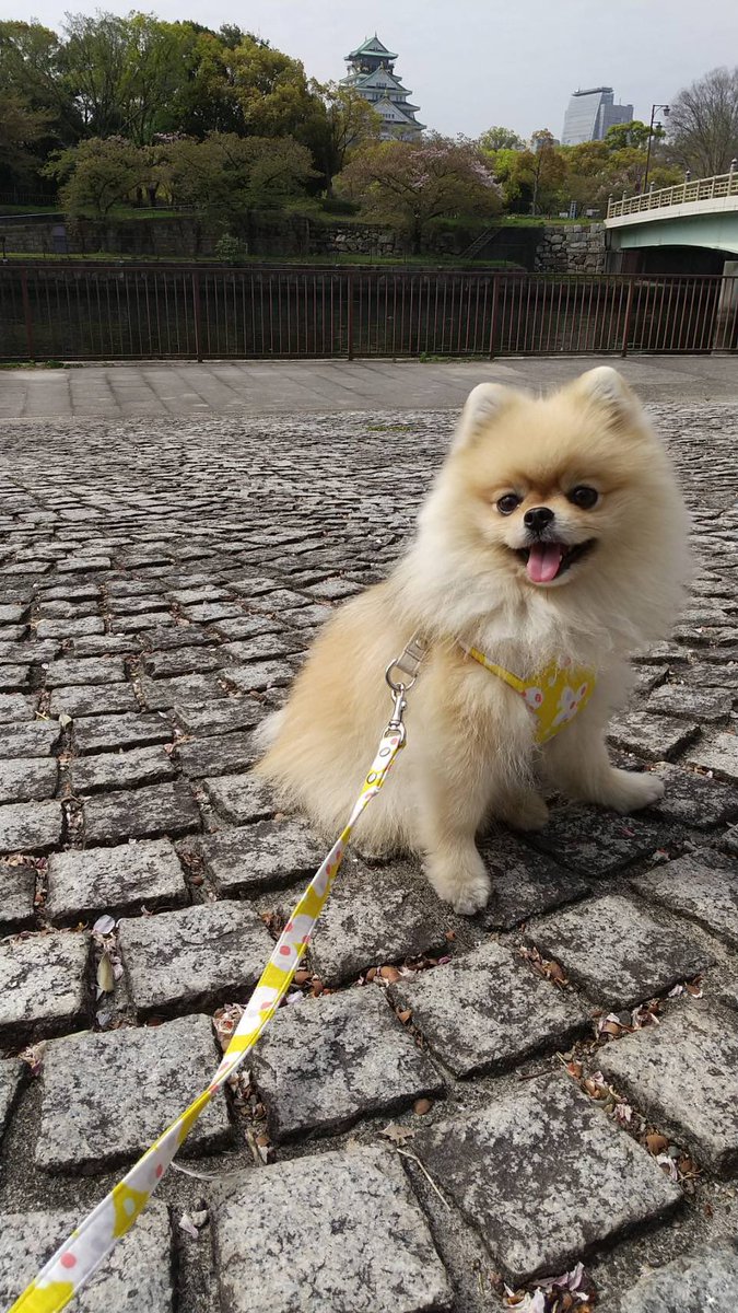 Happy day♪ Happy face❤️