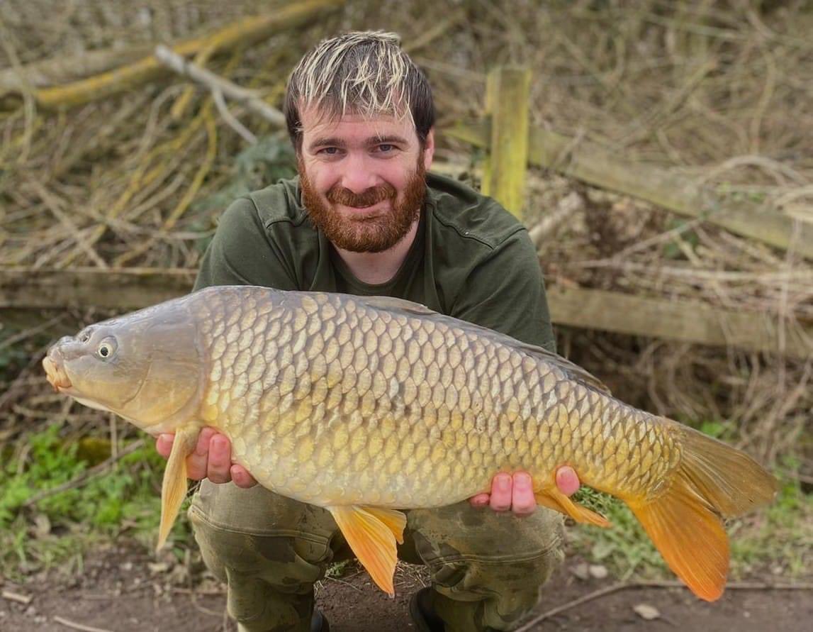 Infantrycarpers tweet media