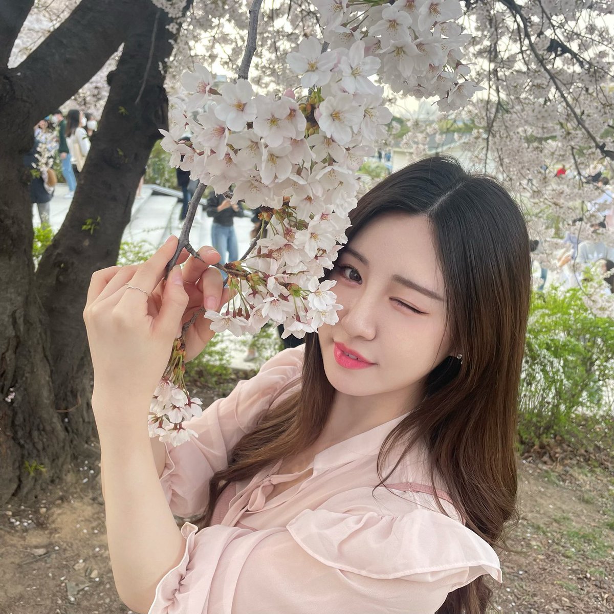 LUNARSOLAR (루나솔라) tweet media