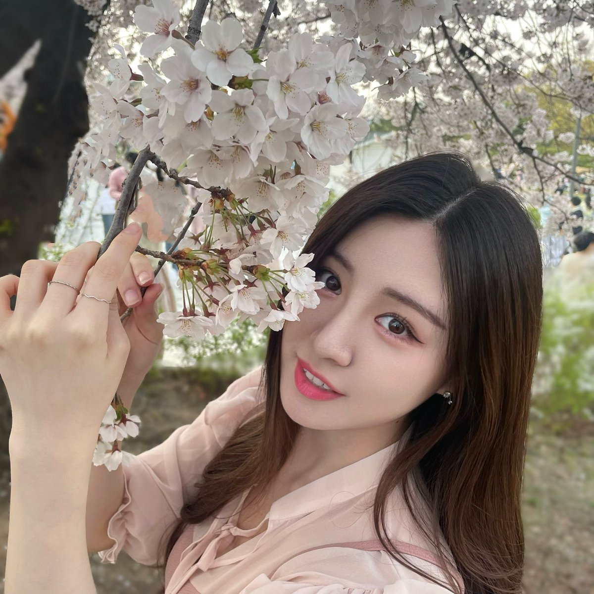 LUNARSOLAR (루나솔라) tweet media