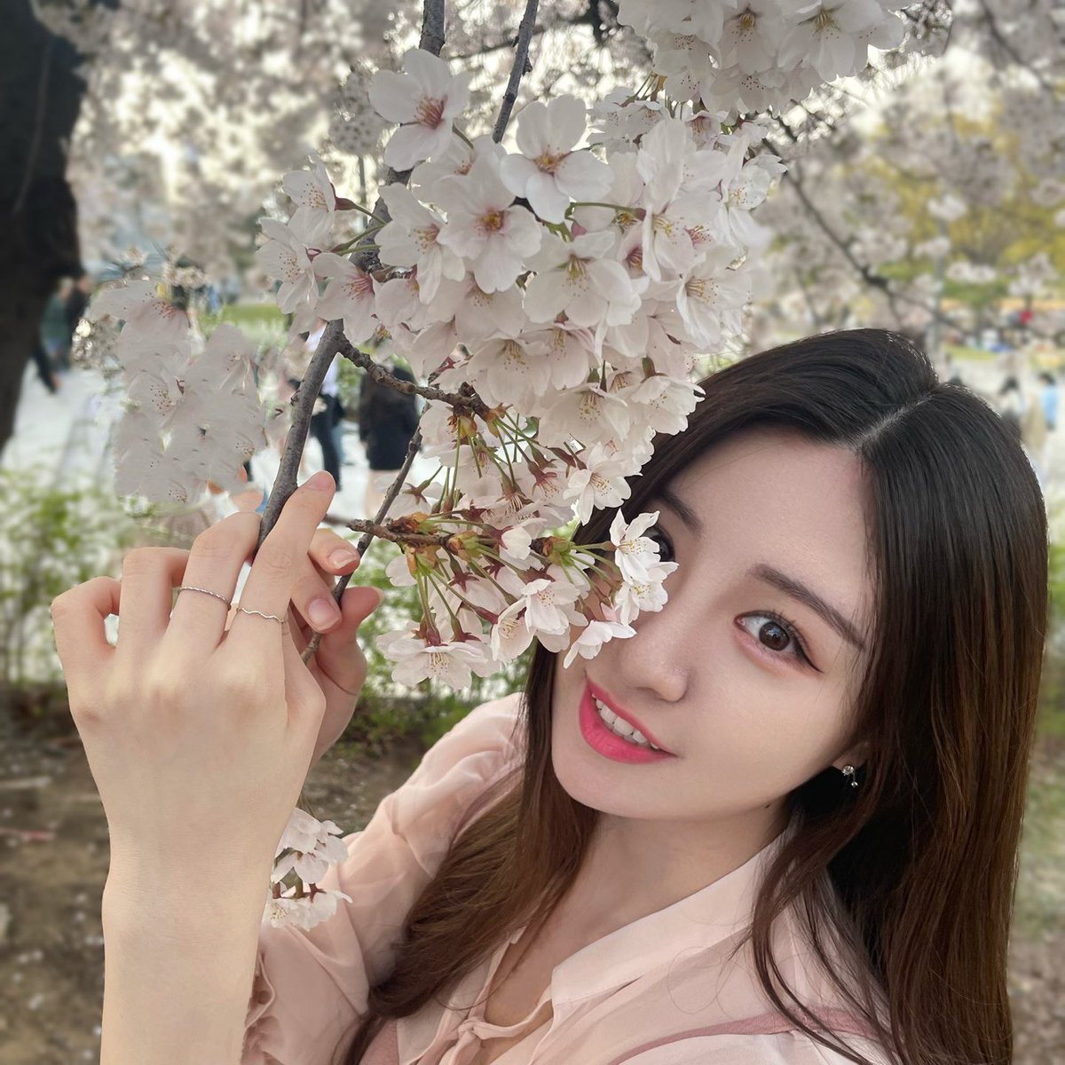 LUNARSOLAR (루나솔라) tweet media