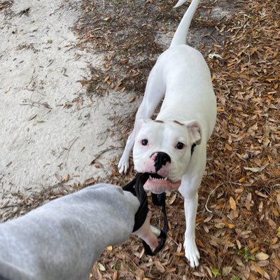 laurvana_'s tweet photo. #NewProfilePic https://t.co/v1yIkt4Dpy