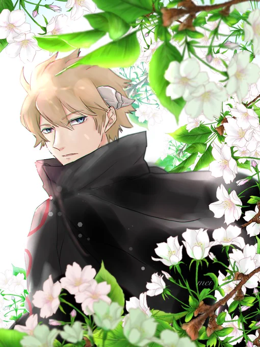 ヒュースと桜 