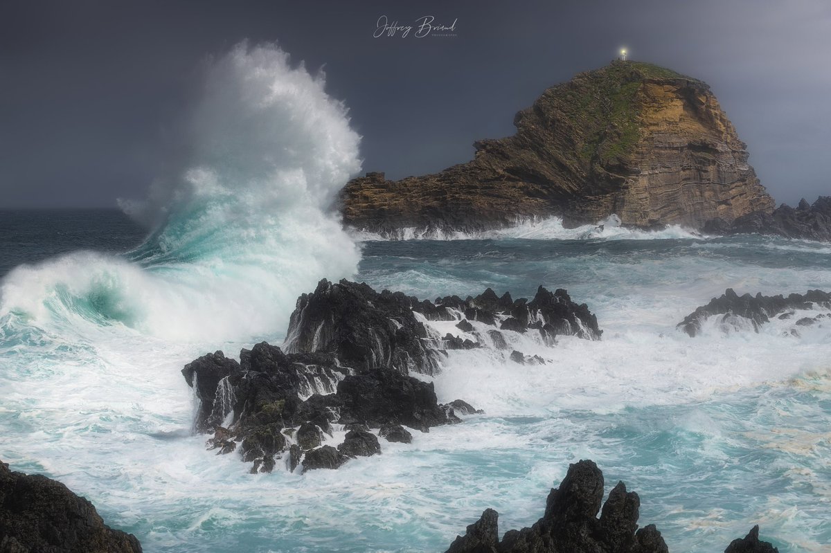 Gm ☕️ frens and photographers 😃