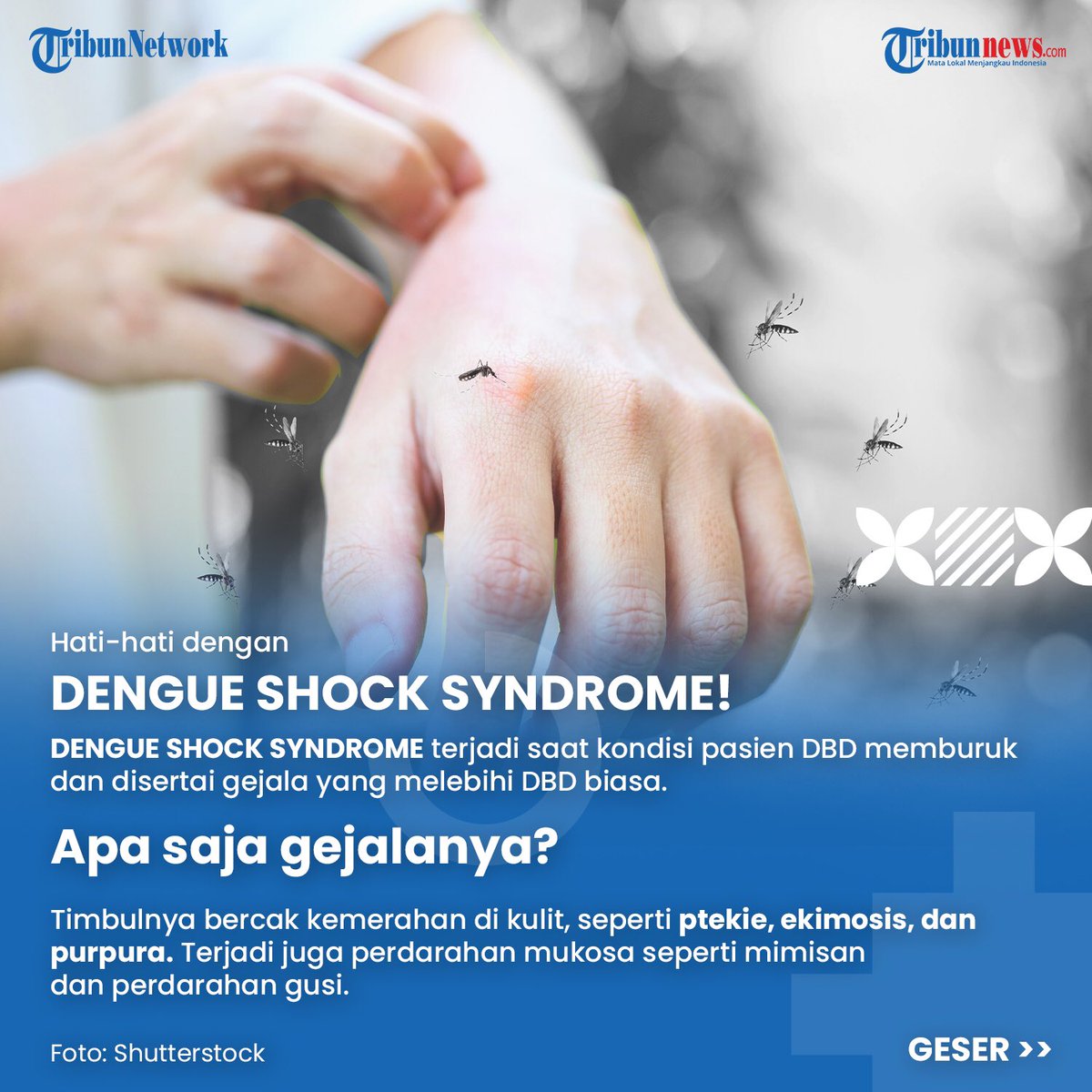 tribunnews's tweet photo. Mari cegah Dengue Shock Syndrome dengan melakukan 3M Plus dan gunakan losion anti nyamuk Soffel Alamia yang terbuat dari 100% Ekstrak Daun alami untuk perlindungan diri dan keluarga tercinta di rumah.
#Tribunnews
#Soffel
#ForceMagic https://t.co/K9ioQAK4ul