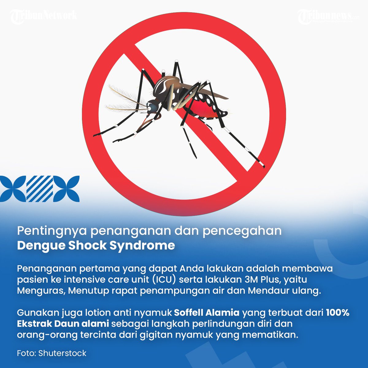 tribunnews's tweet photo. Mari cegah Dengue Shock Syndrome dengan melakukan 3M Plus dan gunakan losion anti nyamuk Soffel Alamia yang terbuat dari 100% Ekstrak Daun alami untuk perlindungan diri dan keluarga tercinta di rumah.
#Tribunnews
#Soffel
#ForceMagic https://t.co/K9ioQAK4ul