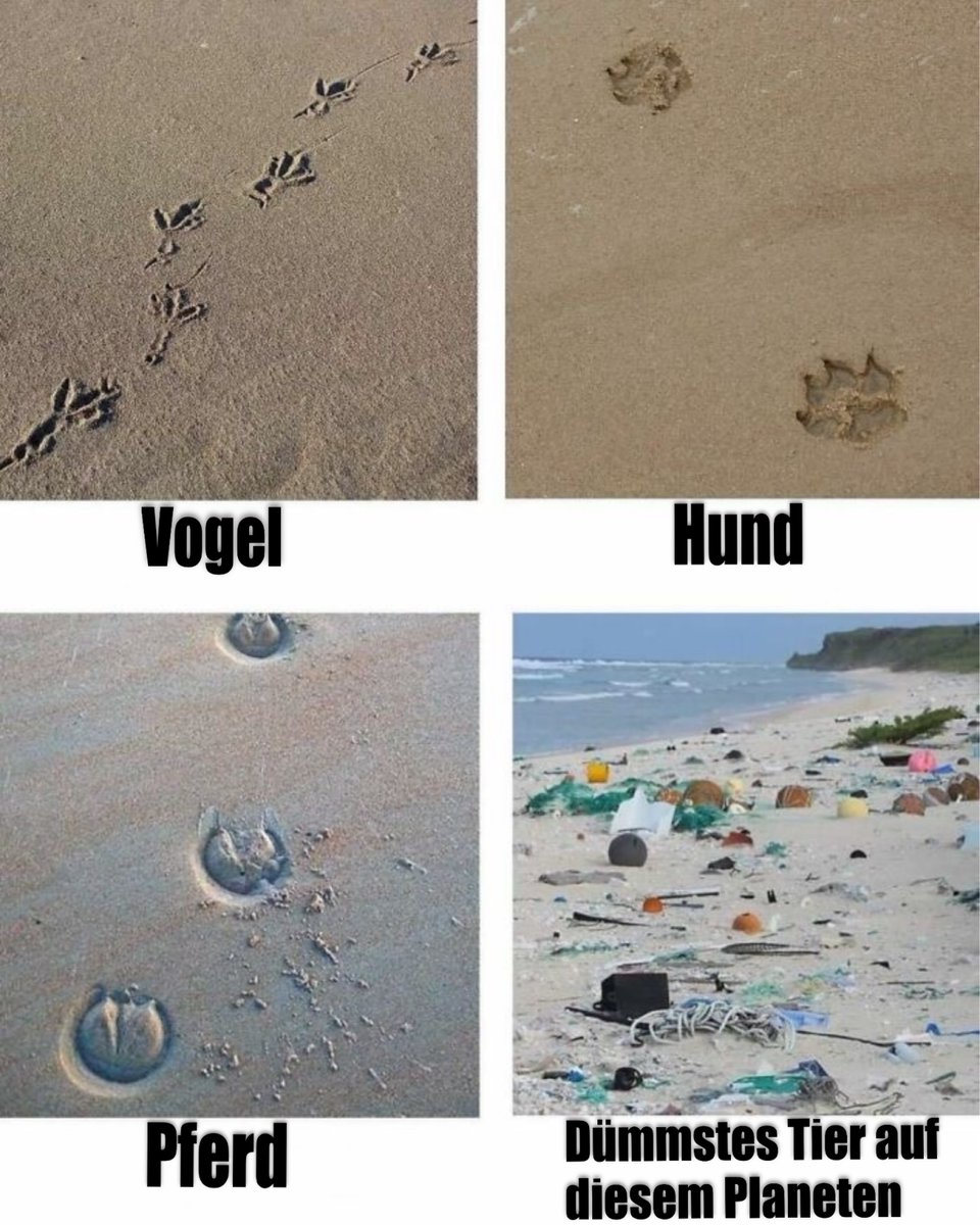 Das mit der höchstentwickelten Spezies ist nur eine Selbsteinschätzung.