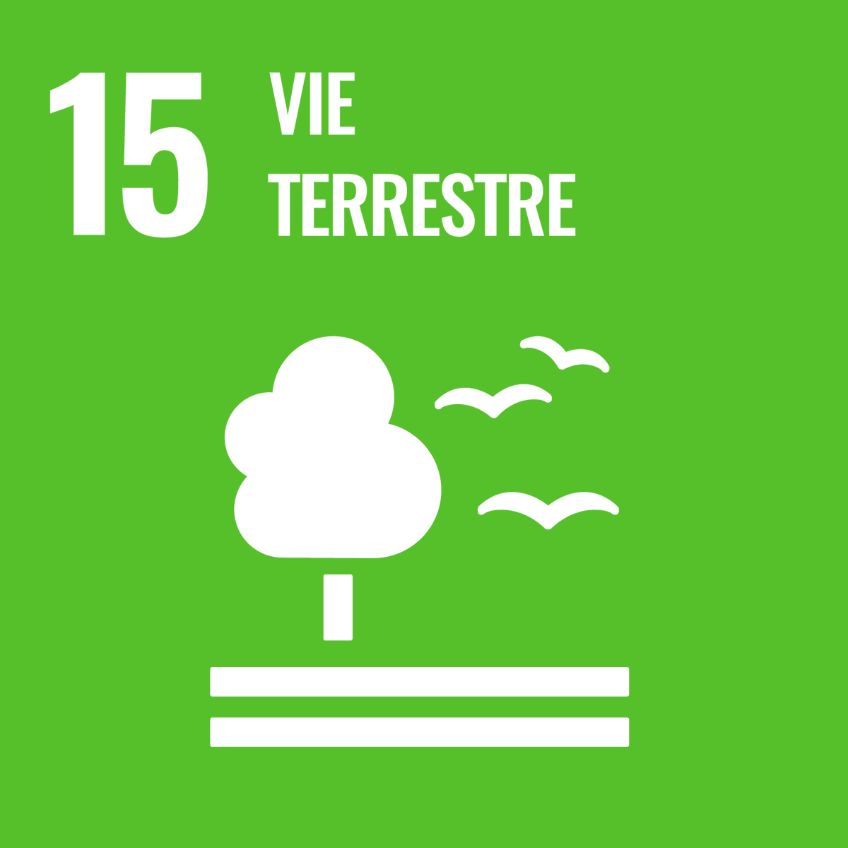 La nature est indispensable à notre survie : elle nous fournit de l’oxygène, régule nos conditions météorologiques, pollinise nos cultures, produit de quoi nous nourrir et nous vêtir.

Pourtant, la nature est soumise à une pression croissante : bit.ly/38Jtrn7