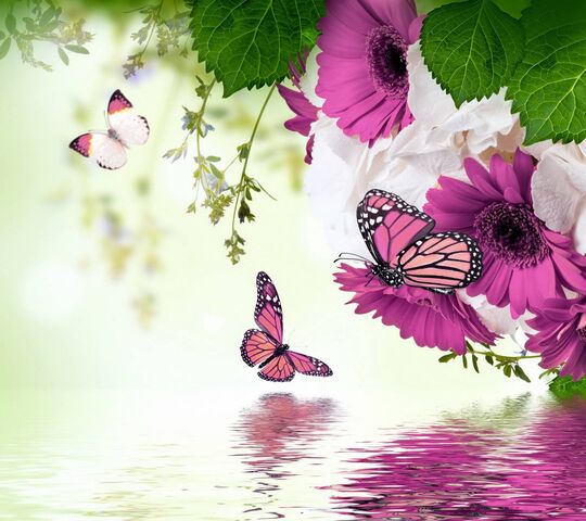 G.K. (@gk120652) on Twitter photo 