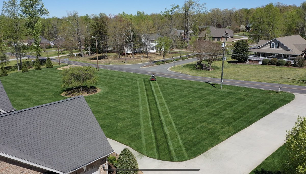 Olee Poole #fescuefreak tweet media