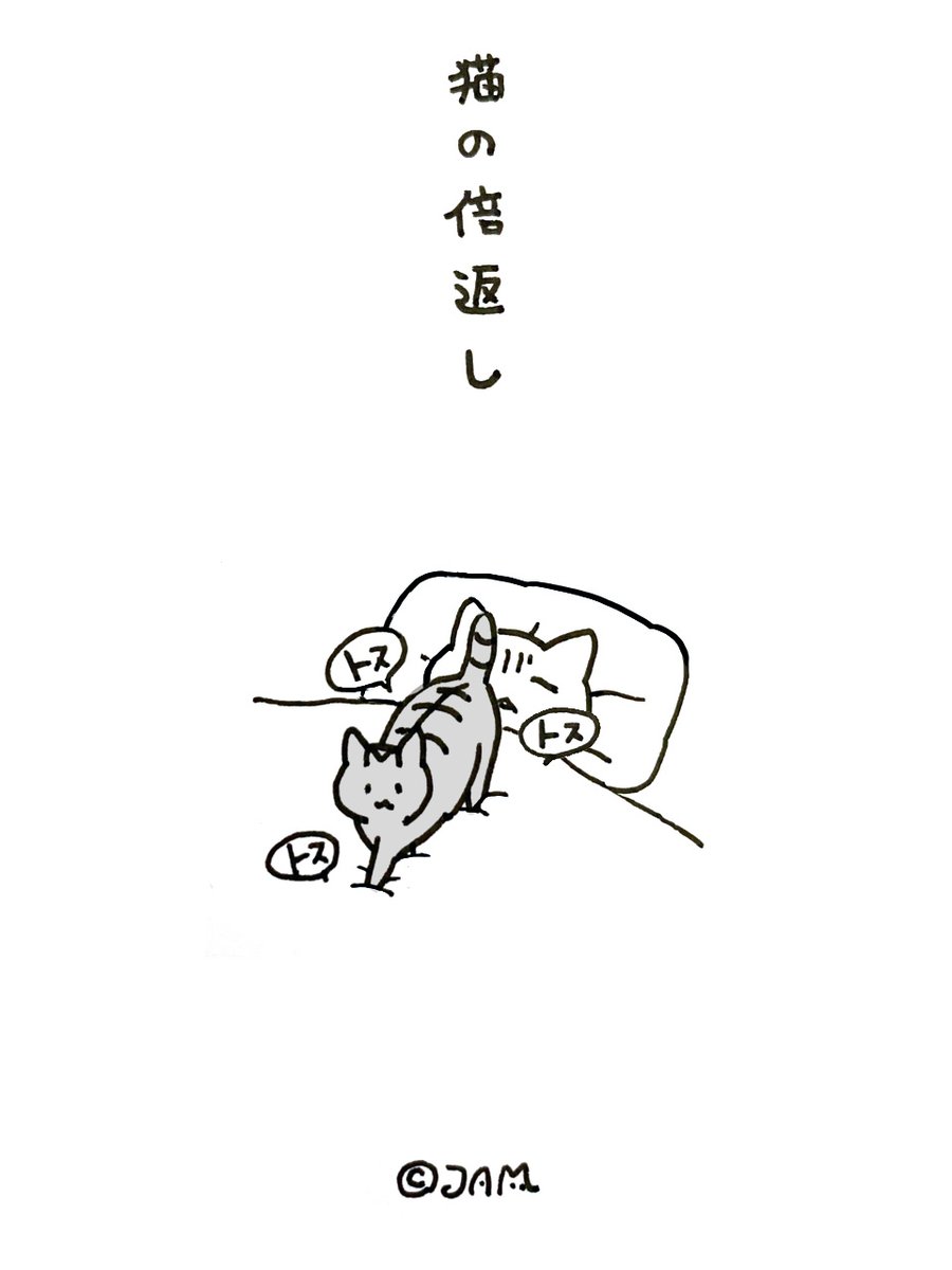 昼間起こされた猫🐱 