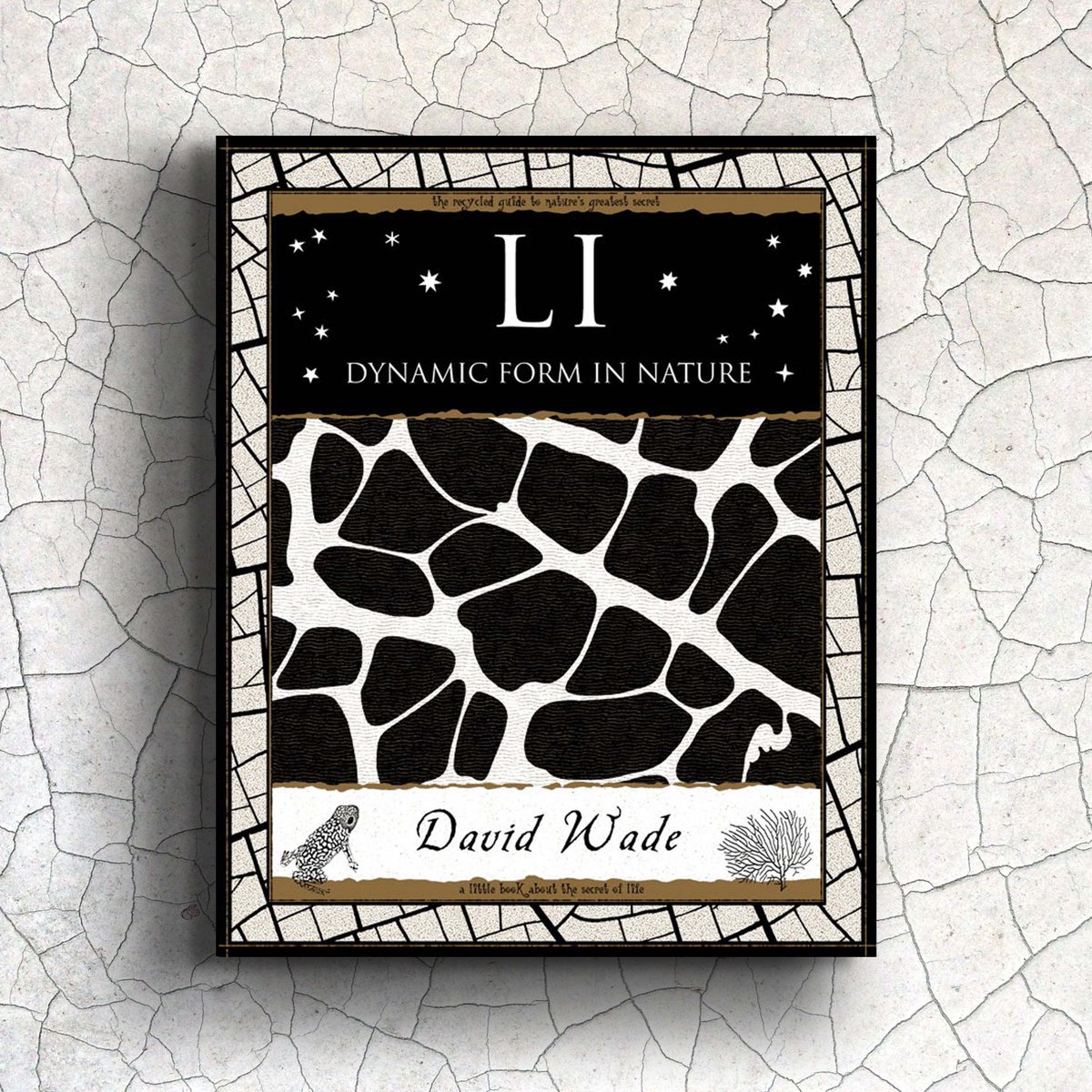 WoodenBooks_'s tweet photo. In this beautiful book, Li is presented for the first time in the West. Essential reading for designers, artists, philosophers and natural scientists. LI: DYNAMIC FORM IN NATURE by David Wade. Wooden Books, 2022. #woodenbooks #li #davidwade #nature #design #china #art #pattern https://t.co/3uCuQO9fGU