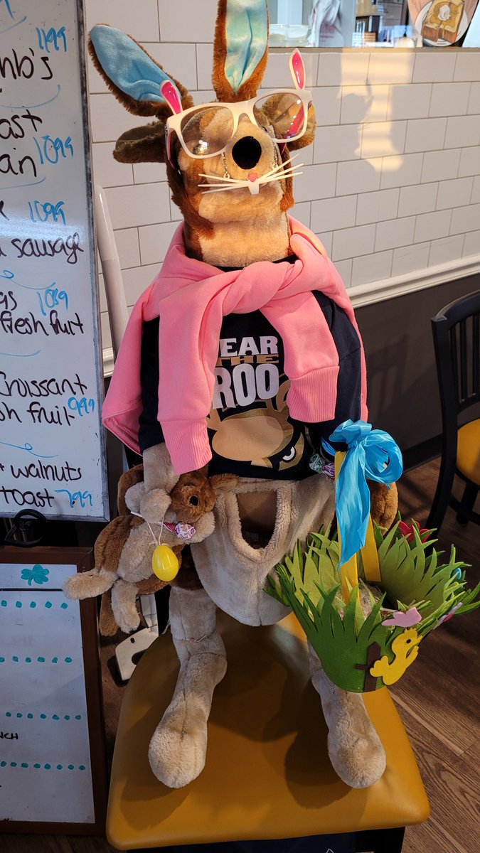 MrG_Mobile's tweet photo. It's going to be a hoppy day with @UAkron_Edu! Stop by the @HCPSchools table with @MrRedmondAP and myself at the #NOTED job fair. #FireUpZips #ShineBrighter @HCPSRecruiter https://t.co/PYn6BeNccF