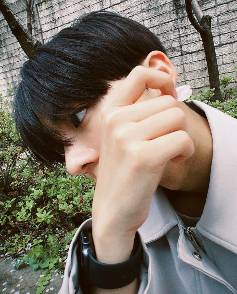 daily sangwon tweet media