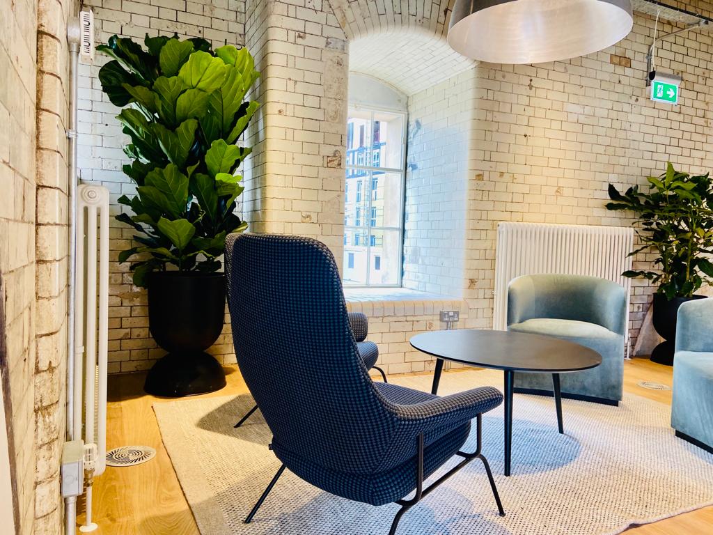 leasealeaf's tweet photo. One of our plants looking fabulous in our clients seating area 💚😍

#Indoorplants #officeplants #plantsofinstagram #ukoffices #UKbusiness https://t.co/7Y8hw7rw8l