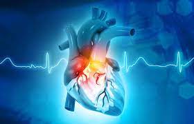 Rachel_walker08's tweet photo. Best platform to enhance your knowledge @ #Cardiologysummit2022 on August 08-09, 2022 at #Madrid, #Spain. @CNIC_CARDIO @AbbottCardio @UABCardiology @CardioOncology @Azcarate_Cardio @CheshireCardio @CheshireCardio @WessexSpRs @ESCardioNews @UNCCardiology @CUCardiology @crfheart https://t.co/pTeqyy39qo