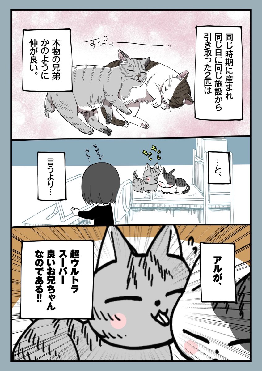 8.お兄ちゃん

#漫画が読めるハッシュタグ 