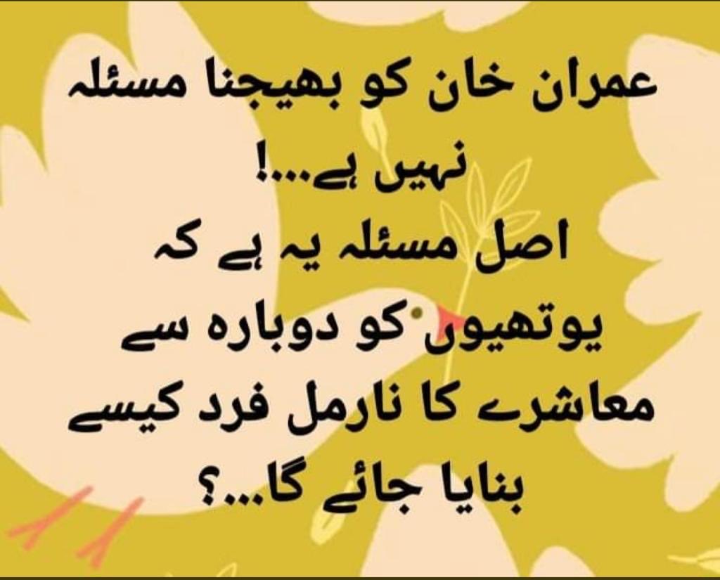 Shafi Naqi Jamie tweet media