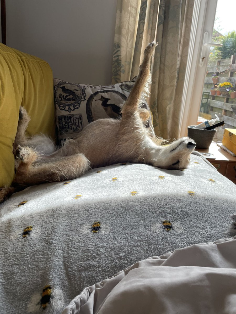 KateDack's tweet image. Day two of learning to be more Vera. Realizing that doing nothing is what my body and soul needs.