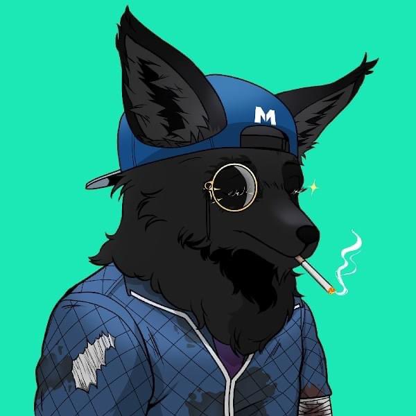 deepinmybones00's tweet photo. @TailsAfterGlow #TAGlife https://t.co/qYOhxpeRtT