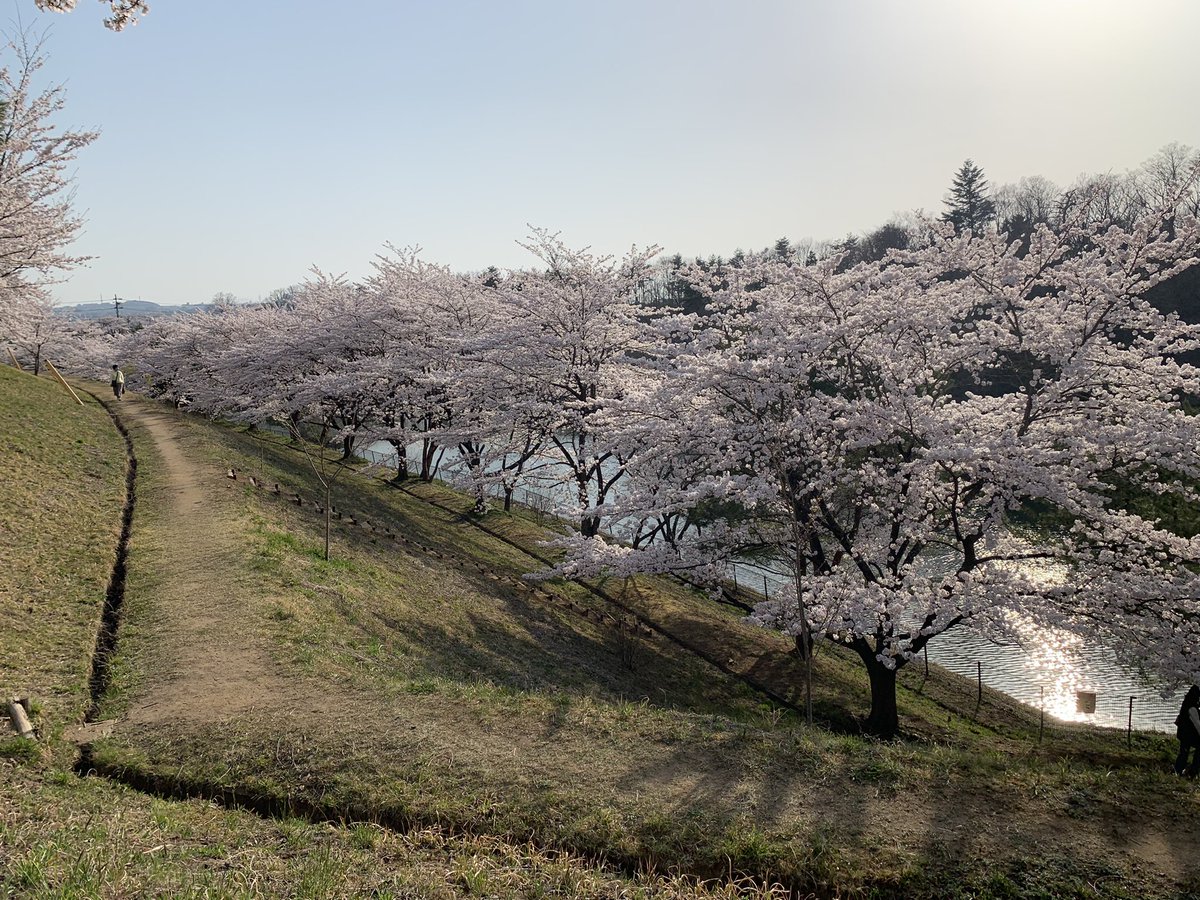 7箇所目
泉区 桂 大倉緑地