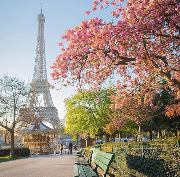 ParisArtDeVivre's tweet photo. The beauty of #Paris in the spring... 🌿🌸
#parisjetaime #Parisinthespring https://t.co/2fZT5hIXlT