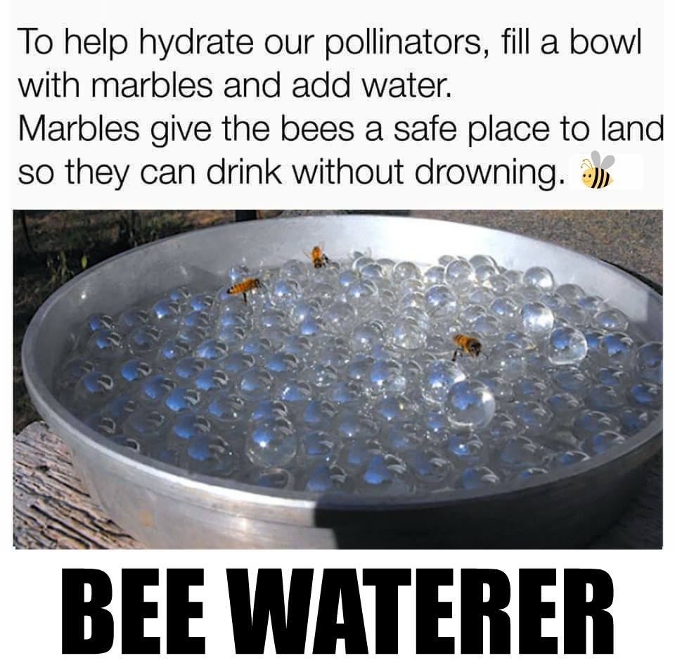 AkerWood100's tweet image. Already starting to se a lot of bees in my garden.  They need all the help we can give,
#Pollinators  #SaveTheBees