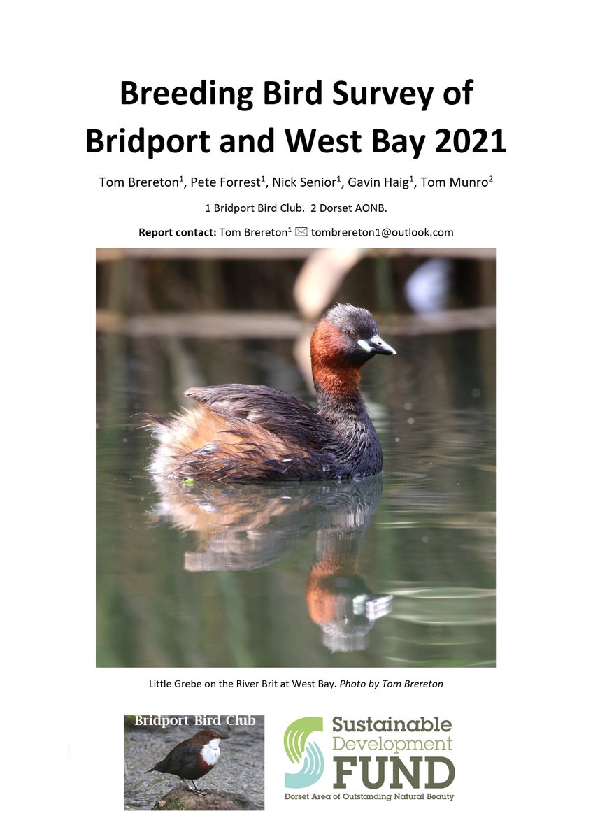 tom_m_brereton's tweet photo. Thanks to @DorsetAONB funding, Bridport Bird Clubs 2021 Breeding Bird Survey Report is published today. Surveyors walked over 2,000 miles on 70+ days, supplemented by 700 hours of nocmig records. Territories found for up to 81 species. Full details/report https://t.co/JfXBjdThtL https://t.co/6SdyKjjGUl