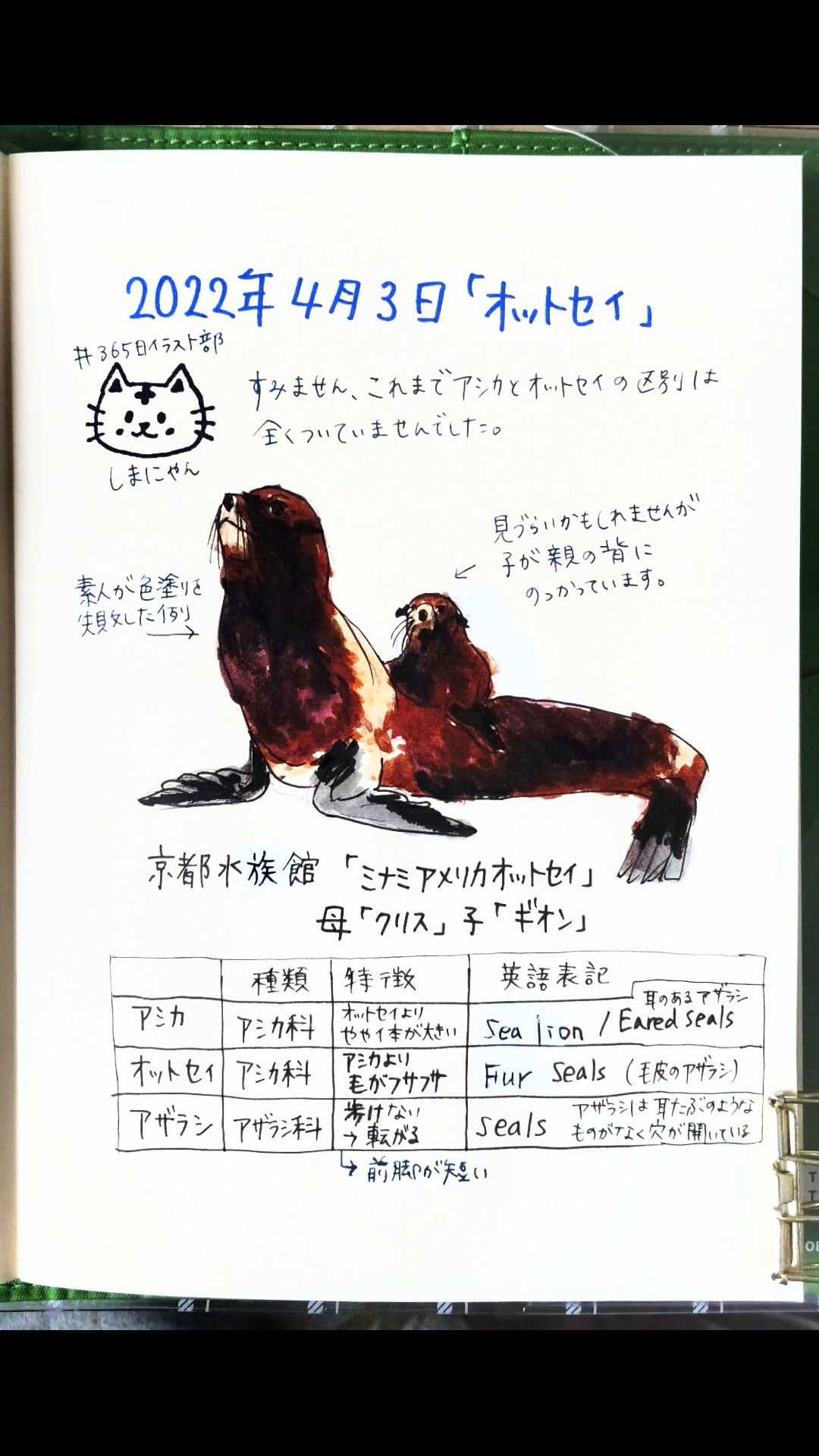 تويتر しまにゃん على تويتر 365日イラスト部 オットセイ 色を重ねた結果 よくわからなくなってしまいました T Co Ixrogl8ueo تويتر しまにゃん على تويتر 365日イラスト部 オットセイ 色を重ねた結果 よくわからなくなってしまいました T Co Ixrogl8ueo