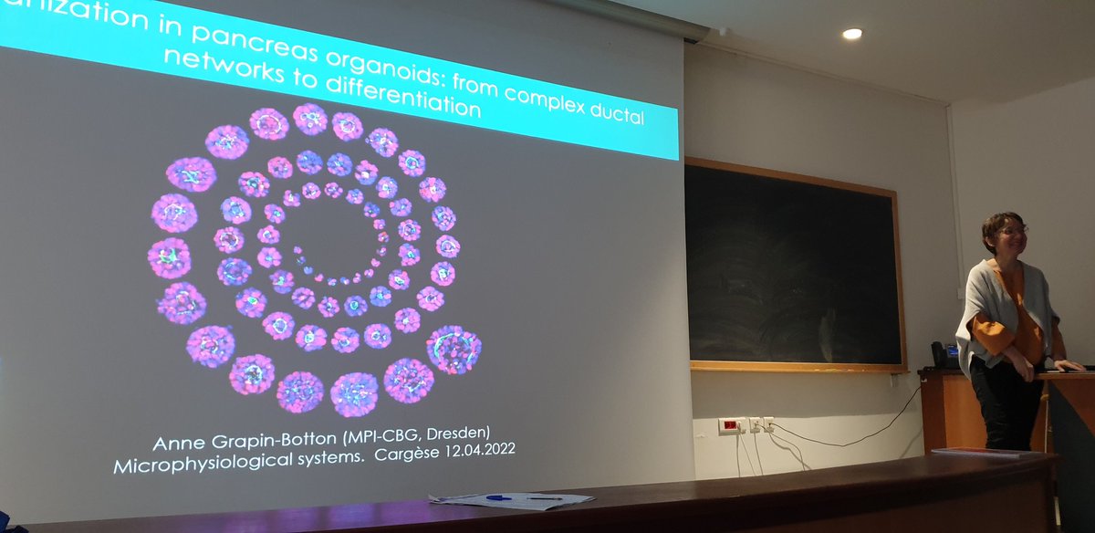 EdouardHannezo's tweet photo. Great start of #microphysio2022 day 2 with collective organoid dynamics by @anne_grapin https://t.co/lN4rdPvlXy
