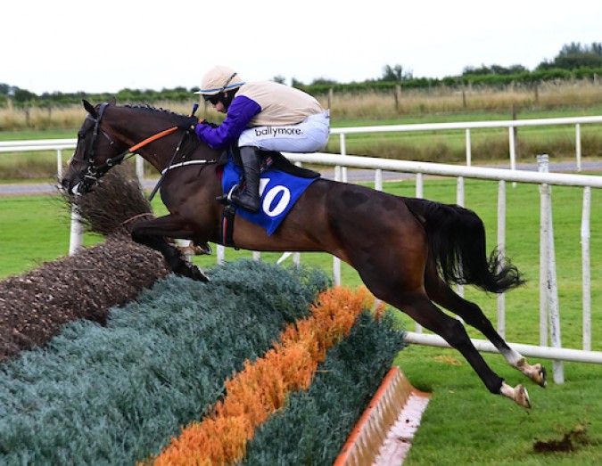 PimlicoRacing's tweet photo. Can't wait to see Alice Avril in action @CheltenhamRaces!  

We have plenty making the trip over and look forward to keeping you updated from the track on Thursday! https://t.co/ahI68Pivae