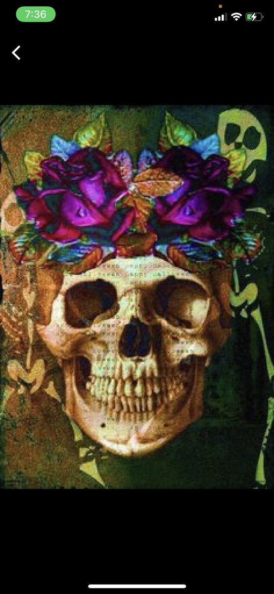 Sahib60893896's tweet photo. @CrazyCryptoSku1 # fetting obsessed by the skull..
Thanks for the T ..
#lovingit https://t.co/iloGYobKXN