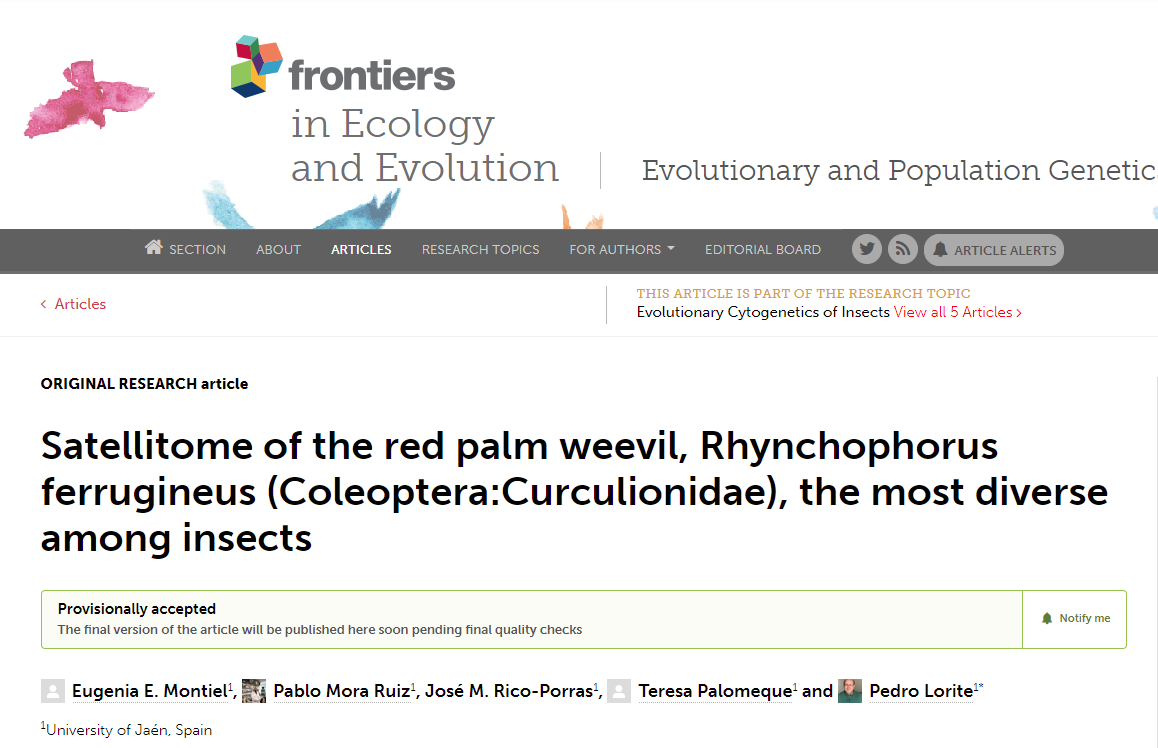 _PabloMora_'s tweet photo. Satellitome of the red palm weevil, Rhynchophorus ferrugineus (Coleoptera:Curculionidae), the most diverse among insects.

doi: 10.3389/fevo.2022.826808

@eemontiel @Josema2019 https://t.co/e9UePcGKbo