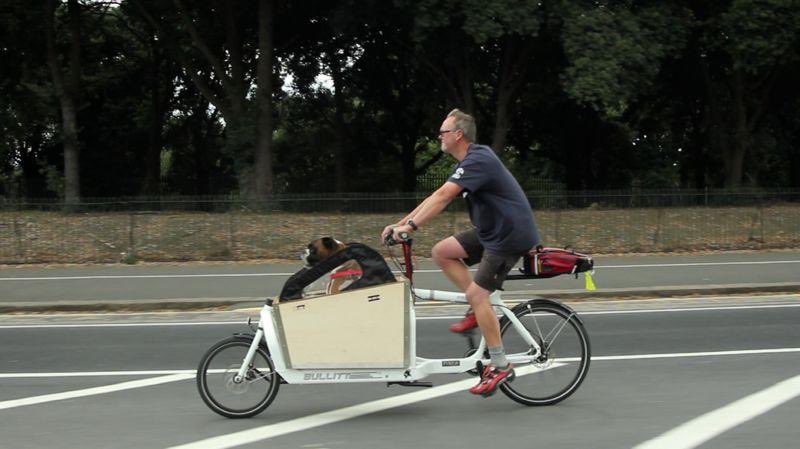 Ann Higginson (née McQuaid) tweet media