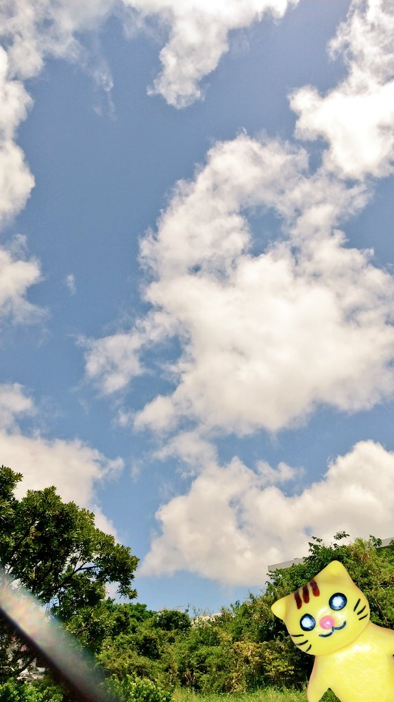 muimui808's tweet photo. こんにちは(* ^ー゜)ノ
今日はとっても良い天気☀️
お散歩いったら、ちょっと汗ばむ程度に温かでした🎵
春の陽気と言うか、初夏って感じの心地よさです(*^^*) https://t.co/73G8r02GhE