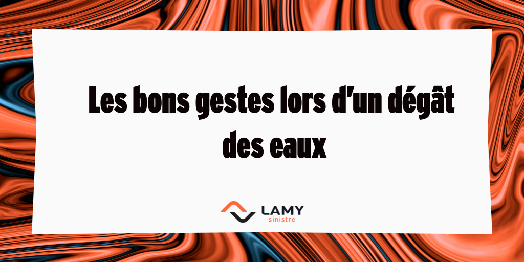 LamySinistre's tweet photo. 💡 LAMY Sinistre vous éclaire sur les bons #gestes à avoir en cas de #dégâts des #eaux 👇 https://t.co/vSO2xcEbot