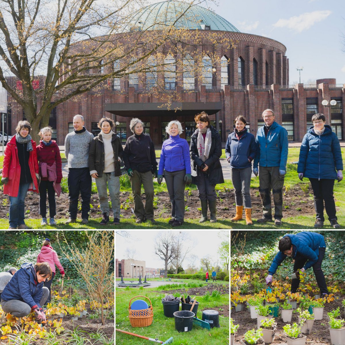 Stadt Düsseldorf (@duesseldorf) on Twitter photo Die Düsseldorfer #Symphoniker haben rund um die <a href="/tonhalle_d/">Tonhalle Düsseldorf</a> viele neue Stauden gepflanzt. 🌱
Mit der gemeinsamen Aktion mit dem Gartenamt soll das Umfeld der #Tonhalle verschönert und ökologisch verbessert werden. Bald sollen noch mehr #Pflanzen gepflanzt werden. Die Düsseldorfer #Symphoniker haben rund um die <a href="/tonhalle_d/">Tonhalle Düsseldorf</a> viele neue Stauden gepflanzt. 🌱
Mit der gemeinsamen Aktion mit dem Gartenamt soll das Umfeld der #Tonhalle verschönert und ökologisch verbessert werden. Bald sollen noch mehr #Pflanzen gepflanzt werden.