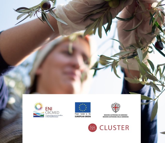 📢¿Tienes entre 18 y 30 años o eres una mujer en #Cataluña y estás en situación precaria? 

#CLUSTER ofrece formación gratuita y #prácticas remuneradas en empresas del sector de la economía sostenible🌱

Para ser considerado/a, envía este formulario👉bit.ly/3JOW6of