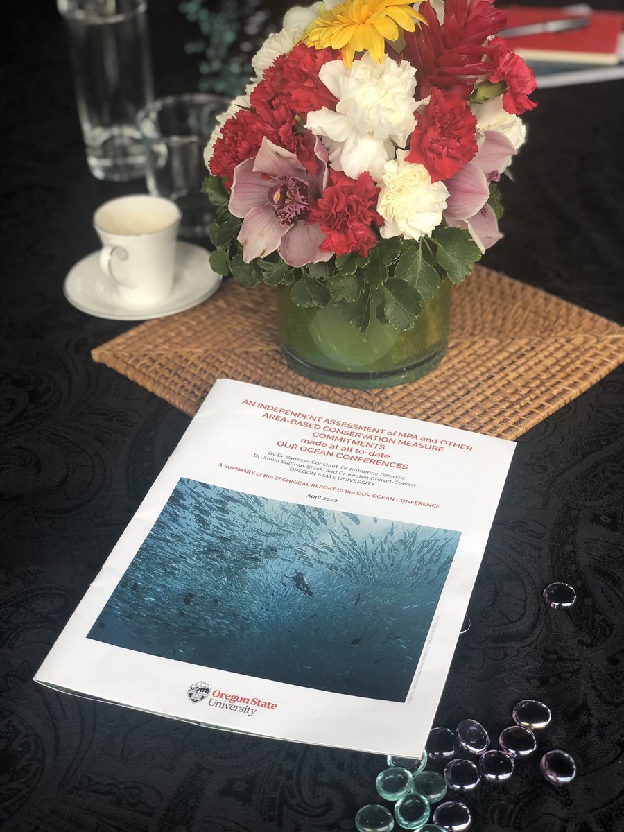 dominocean's tweet image. The view from my office window today! #OurOceanPalau with @Sophiehulme @CommsInc #MPAGuide event hosted by @WaittInstitute