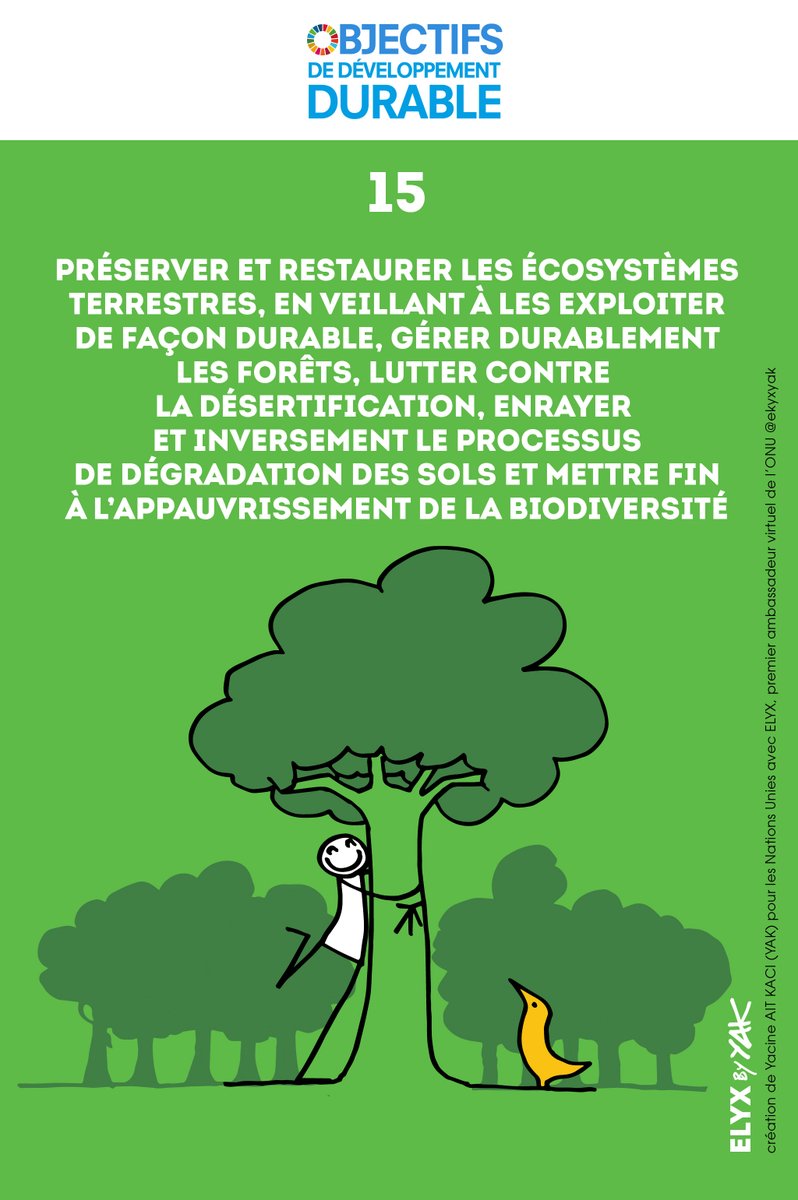 Protéger la vie sur terre signifie:
🌳gérer durablement les forêts
🏜️lutter contre la désertification
🌾arrêter, inverser la dégradation des sols
🐘mettre fin à la perte de biodiversité

&amp; plus encore..

En avril, nous célébrons l'#ODD15: Vie terrestre
🦋

un.org/sustainabledev…