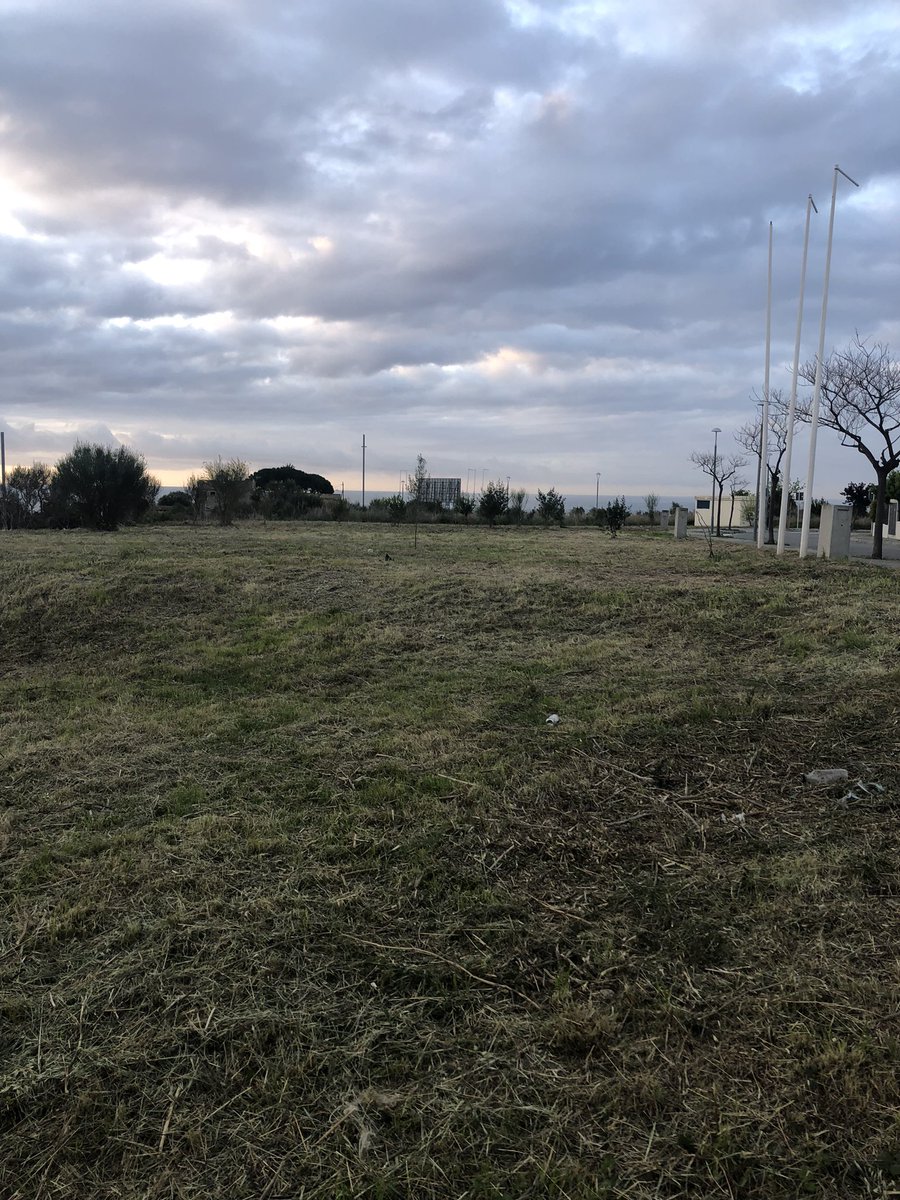 Us imagineu un espai verd, amb arbres on els veïns puguin gaudir de la natura i on els animals segueixin tenint un espai dintre del #Masnou. Doncs no, aquí aniran més pisos. Continuem amb la política urbanística del <a href="/elmasnou_cat/">Ajuntament del Masnou</a>