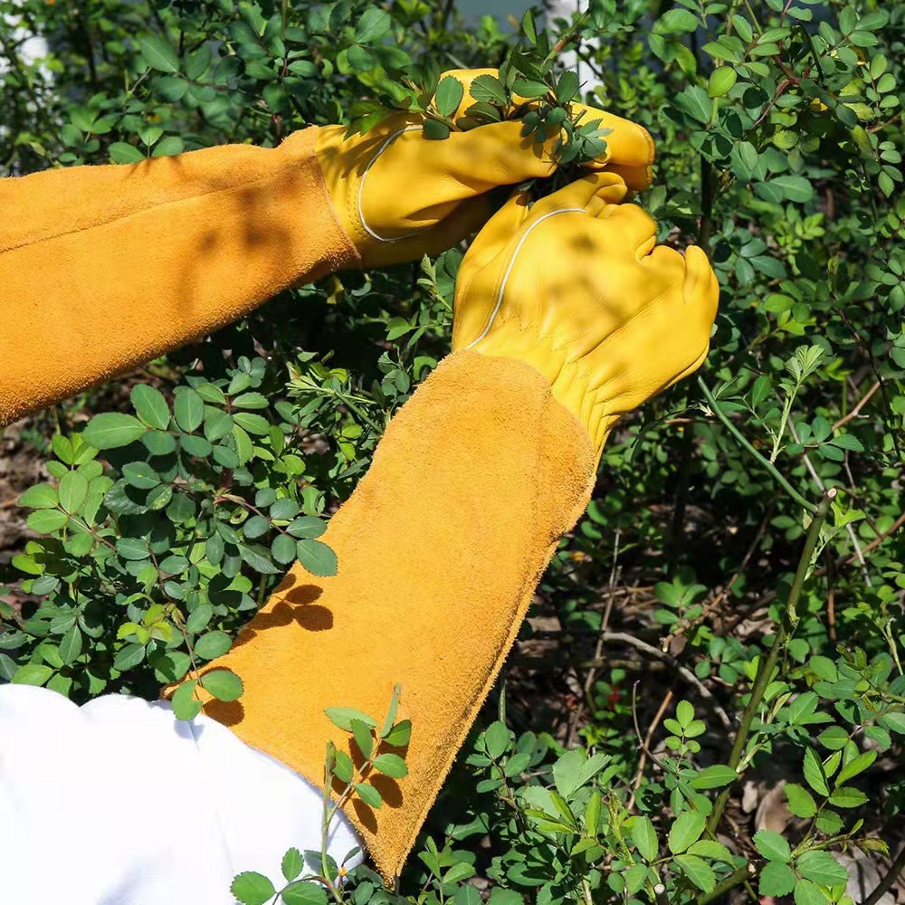 Long sleeved goatskin garden stab proof safety long sleeved gloves
#safetygloves #gardeninggloves #goatskingloves #glovesmanufacturer #leathermanufacturer