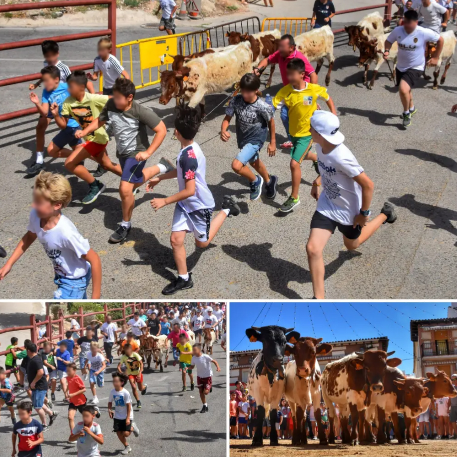 Solicitamos medidas cautelarísimas para que no se celebre la III Feria de la Caza en Illana (Guadalajara). Pretenden cazar conejos con podencos en la plaza de toros y realizar una bueyada infantil, ambas actividades ilegales, además de sádicas e inmorales.
¡Es intolerable!
