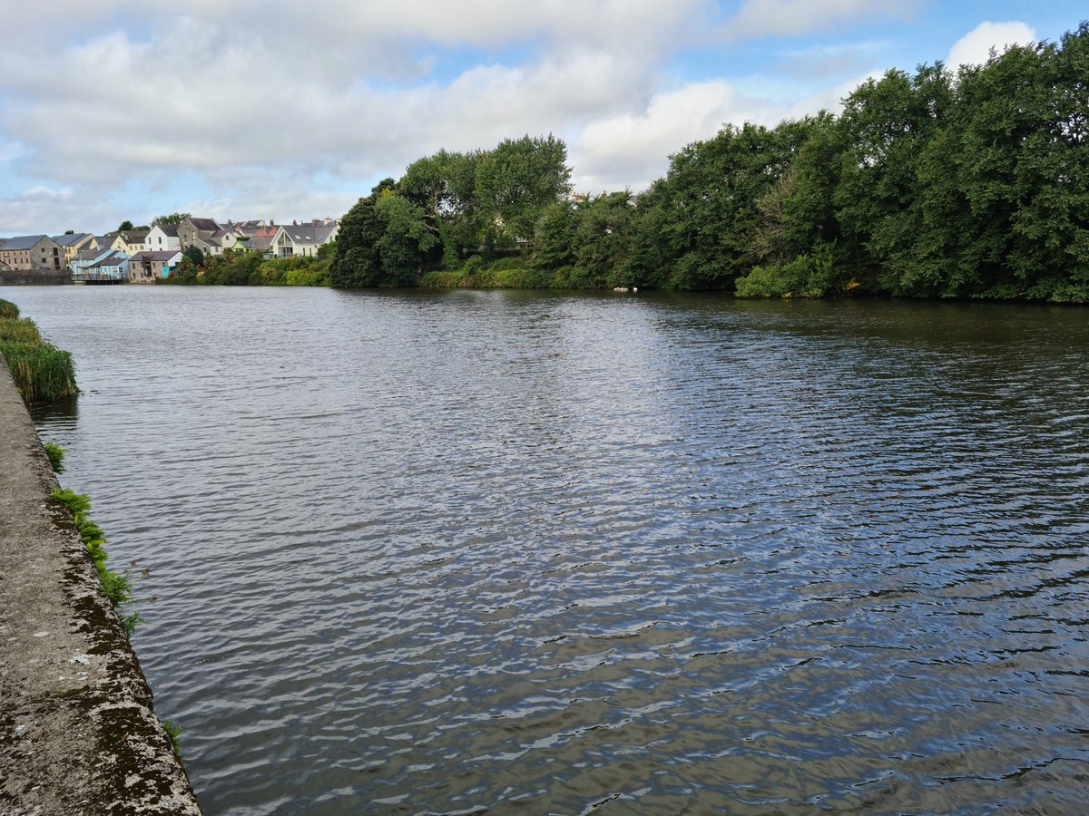 Some great results from reed and algae clearance on a public lake in West Wales #aquaclearbanda