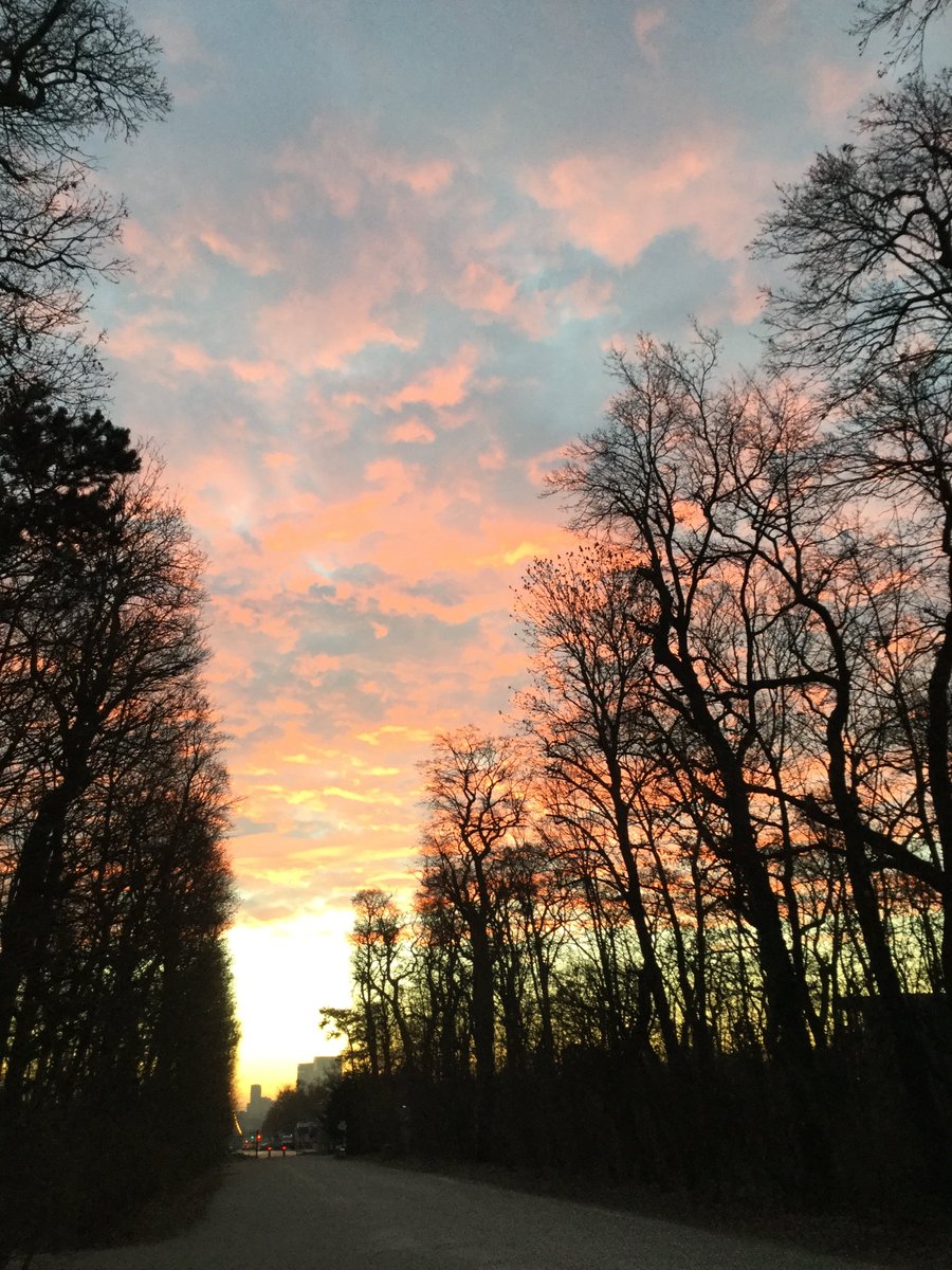 KowalcikKarl's tweet photo. @tonyhughes50s ..morning Tony 😏
the weather here in #Vienna is wonderful and i'm going #OutForWorkout #Calisthenics now
...so i wish you also a great day ☕️😊...
#GiveAlitaHerSequel #AlitaSequel
(PS #OldMenCalisthenics #BerserkerPower 🦾😄...!) https://t.co/2HobuyuCql