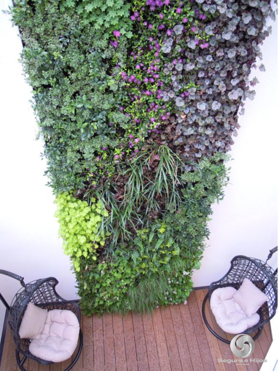 Consigue un oasis con un bonito jardín vertical de plantas naturales, que se ve tanto desde dentro como desde fuera de la casa, en terrazas urbanas. #SeguraeHijos #MejorExposiciondeEspaña2019 #JardinesVerticales #Exteriores #Diseño #Paisajismo #Sostenibilidad #Biodiversidad