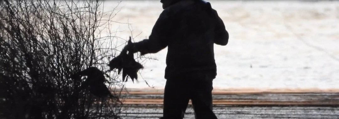 Animal Justice Party tweet media