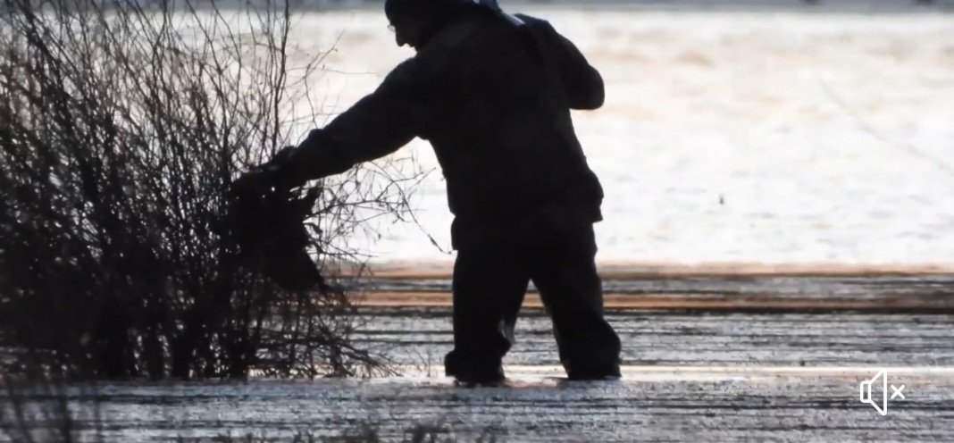 Animal Justice Party tweet media