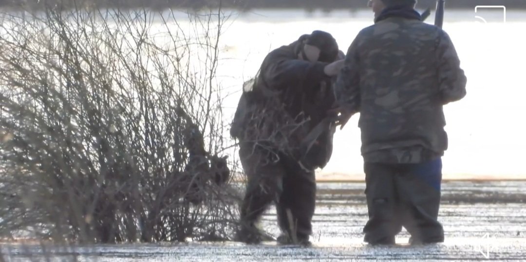 Animal Justice Party tweet media